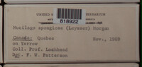 Image Associated With the Occurence